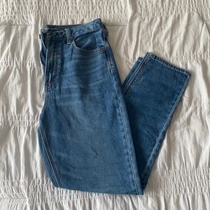 Medium Wash American Eagle Mom Jean